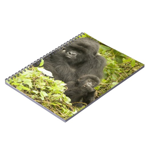 Mountain Gorilla, Gorilla beringei (voorheen G). Notitieboek (Linkerzijde)