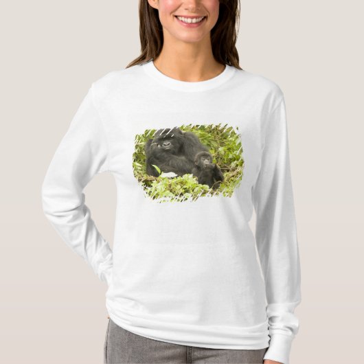 Mountain Gorilla, Gorilla beringei (voorheen G). T-shirt (Voorkant)