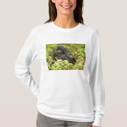 Mountain Gorilla, Gorilla beringei (voorheen G). T-shirt (Voorkant)