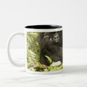 Mountain Gorilla, Gorilla beringei (voorheen G). Tweekleurige Koffiemok (Links)