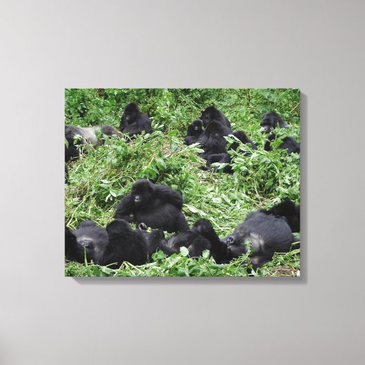 Mountain gorilla groep canvas print (Voorkant)