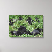 Mountain gorilla groep canvas print (Voorkant)