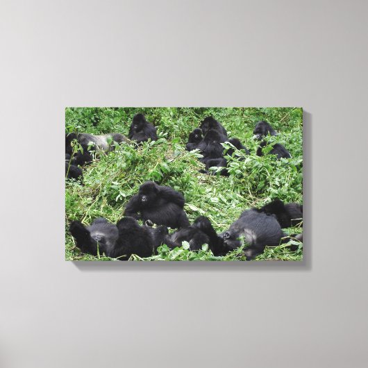 Mountain gorilla groep canvas print (Voorkant)