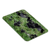 Mountain gorilla groep rechthoek fotomagneet magneet (Rechterzijde)