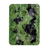 Mountain gorilla groep rechthoek fotomagneet magneet (Verticaal)