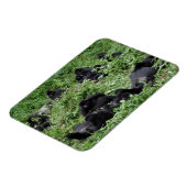 Mountain gorilla groep rechthoek fotomagneet magneet (Linkerzijde)