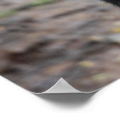 Mountain Gorilla/Moeder & Baby Poster (Hoek)