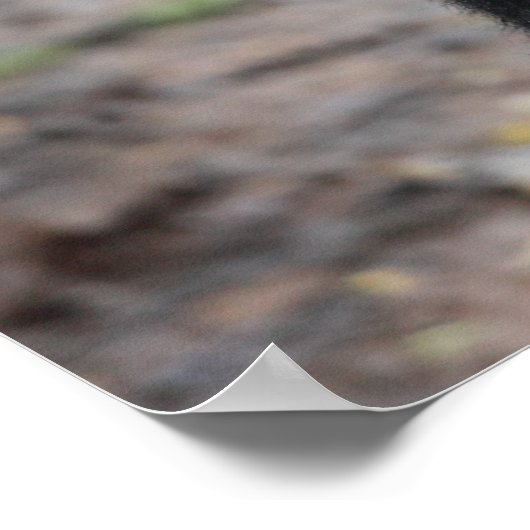 Mountain Gorilla/Moeder & Baby Poster (Hoek)