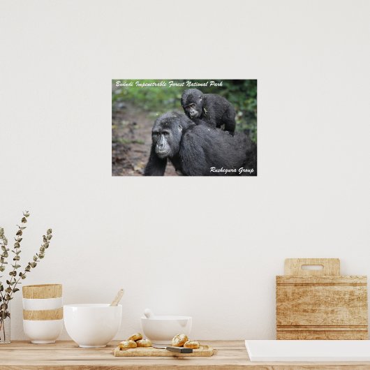 Mountain Gorilla/Moeder & Baby Poster (Keuken)