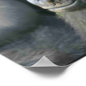 Mountain Gorilla Poster Print (Hoek)