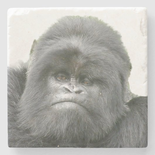 Mountain Gorilla Silverback Stone Onderzetter (Voorkant)