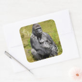 Mountain Gorilla Sticker (Envelop)