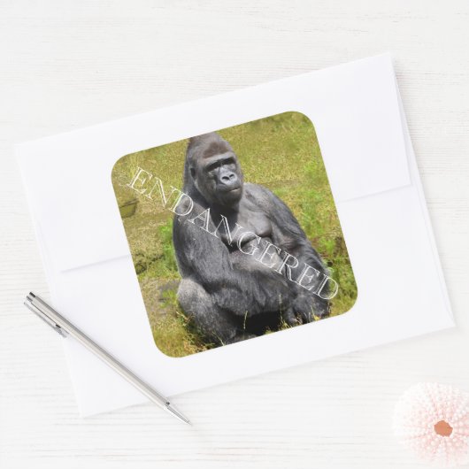 Mountain Gorilla Sticker (Envelop)