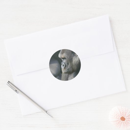 Mountain Gorilla Stickers (Envelop)