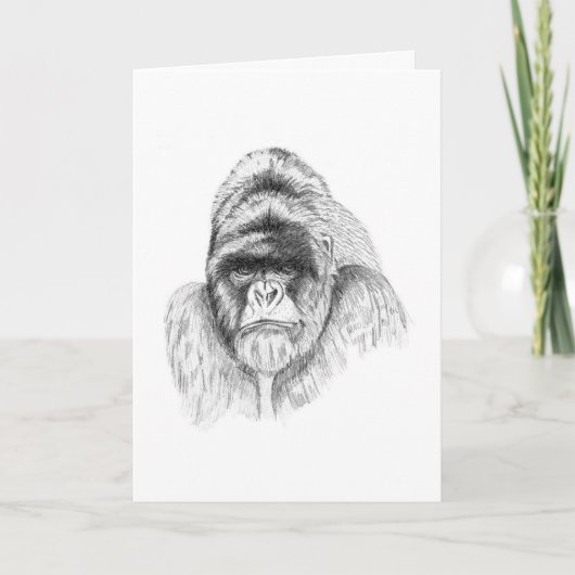 Mountain Gorilla studie Verjaardag Kaart (Voorkant)
