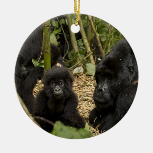 Mountain Gorilla, volwassen met jonge Keramisch Ornament (Voorkant)