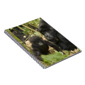 Mountain Gorilla, volwassen met jonge Notitieboek (Rechterzijde)