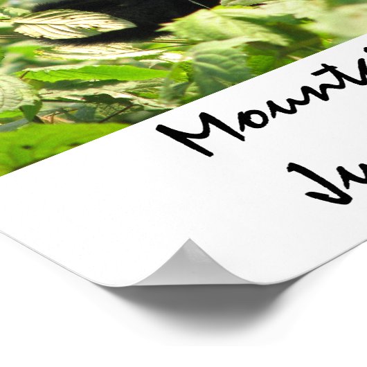 Mountain Gorilla zit gewoon aan. Poster (Hoek)