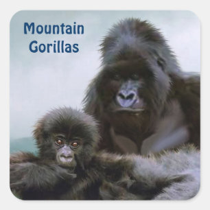 Mountain Gorillas African Wildlife Sticker