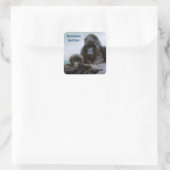 Mountain Gorillas African Wildlife Sticker (Tas)