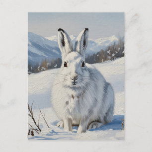Mountain Hare in Schotland Reizen Briefkaart