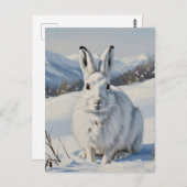 Mountain Hare in Schotland Reizen Briefkaart (Voorkant / Achterkant)