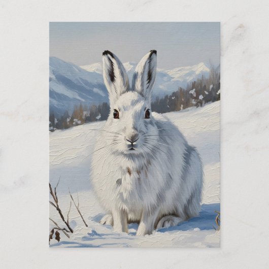 Mountain Hare in Schotland Reizen Briefkaart (Voorkant)