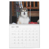 Mountain Home's Poederhond CDX, RAE, RM, CGC, WL Kalender (Mar 2026)