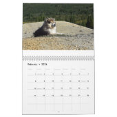 Mountain Home's Poederhond CDX, RAE, RM, CGC, WL Kalender (Feb 2026)