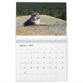 Mountain Home's Poederhond CDX, RAE, RM, CGC, WL Kalender (Feb 2027)