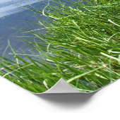 Mountain Lake, Dock Poster (Hoek)