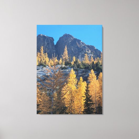Mountain Larches Canvas Afdruk (Voorkant)