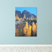 Mountain Larches Canvas Afdruk (Insitu (Houten vloer))