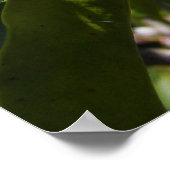 Mountain Laurel 46 ~ print (Hoek)