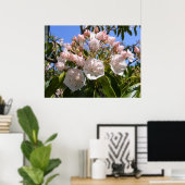Mountain Laurel 46 ~ print (Thuiskantoor)