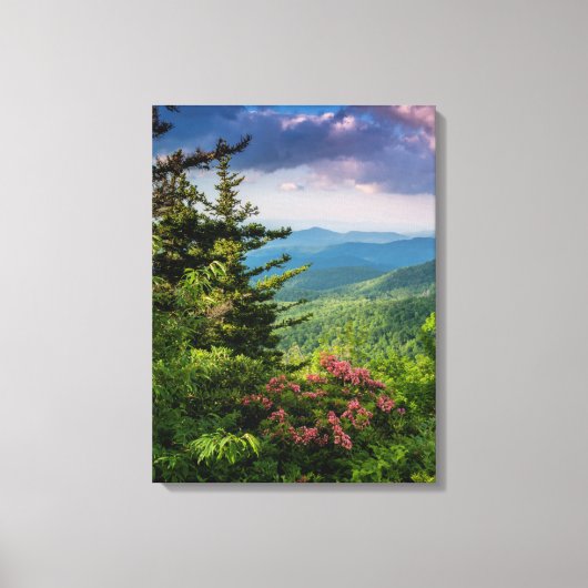 Mountain Laurel bij zonsopgang Canvas Afdruk (Voorkant)