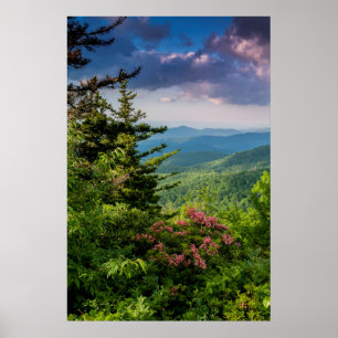Mountain Laurel bij zonsopgang Poster