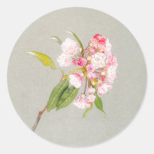 Mountain Laurel Bloem Sticker