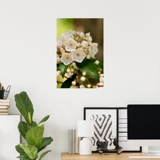 Mountain Laurel blooms Poster (Thuiskantoor)
