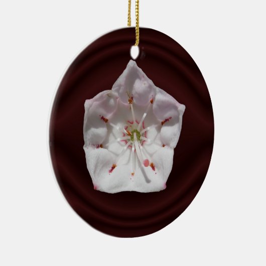 Mountain Laurel flower ~ sierent Keramisch Ornament (Rechts)