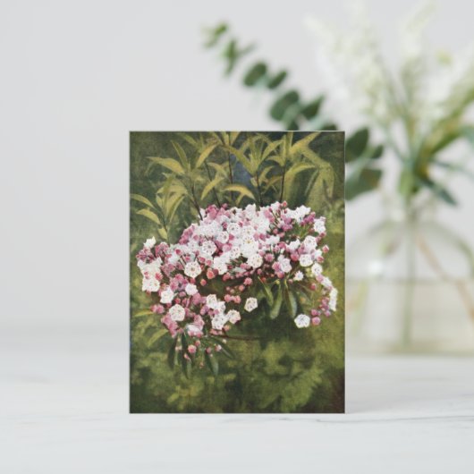 Mountain Laurel Flowers Briefkaart (Staand voorkant)