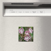 Mountain Laurel Flowers Magnet (Insitu (Vaatwasser))