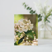 Mountain Laurel in bloom Briefkaart (Staand voorkant)