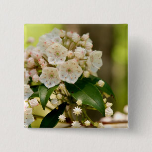 Mountain Laurel in bloom Vierkante Button 5,1 Cm