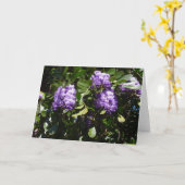 Mountain Laurel in het zonlicht Kaart (Gele Bloem)