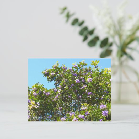 Mountain Laurel in Spring Briefkaart (Staand voorkant)