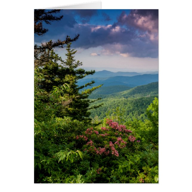 Mountain Laurel op Sunrise (Voorkant)