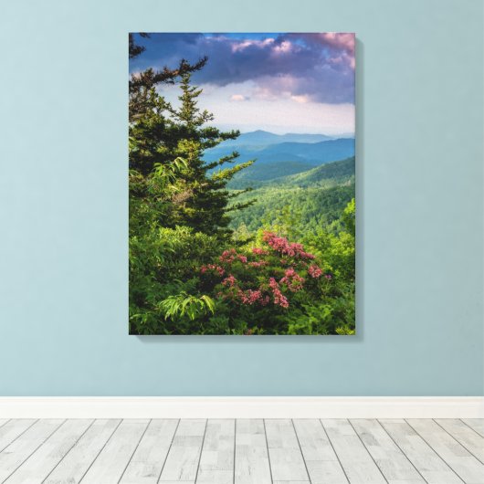 Mountain Laurel op Sunrise Canvas Afdruk (Insitu (Houten vloer))