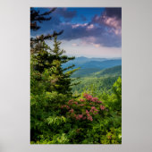Mountain Laurel op Sunrise Poster (Voorkant)