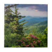 Mountain Laurel op Sunrise Tegeltje (Voorkant)